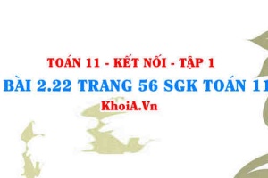 Bài 2.22 trang 56 SGK Toán 11 tập 1 Kết nối tri thức